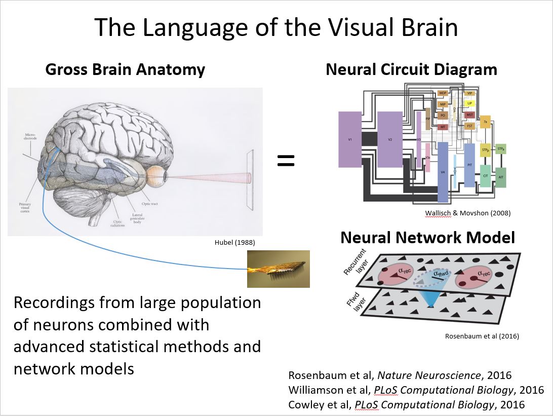 The Center for Cortical Vision Eye & Ear Foundation of Pittsburgh