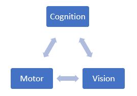 Cognition Motor Vision Chart