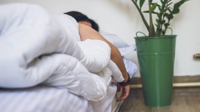 A person in bed with arm hanging off and a plant next to them