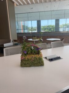 centerpiece from the garden on a table inside the Vision Institute