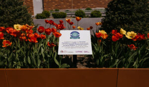 garden sign about the collaboration