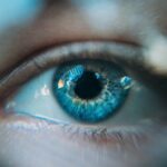 Close up of a blue eye