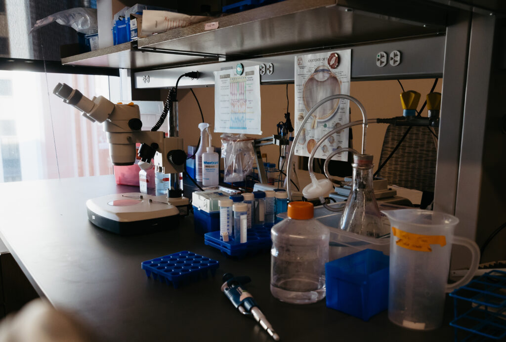 items on the counter of a lab