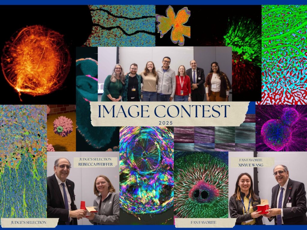collage of contest, with pictures of the winners