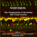 Webvision cover