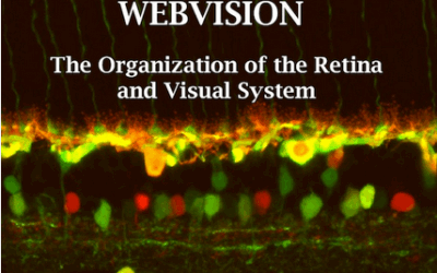 Webvision cover
