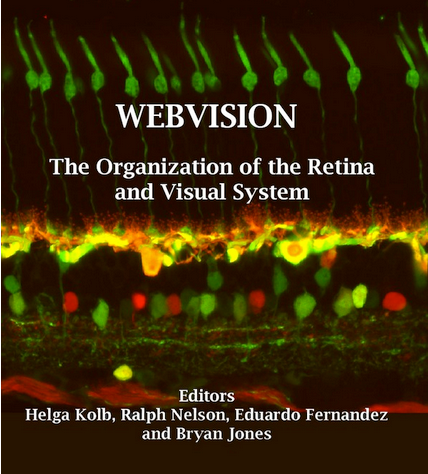 Webvision cover