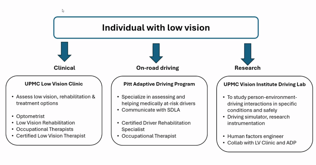flow chart for low vision and driving