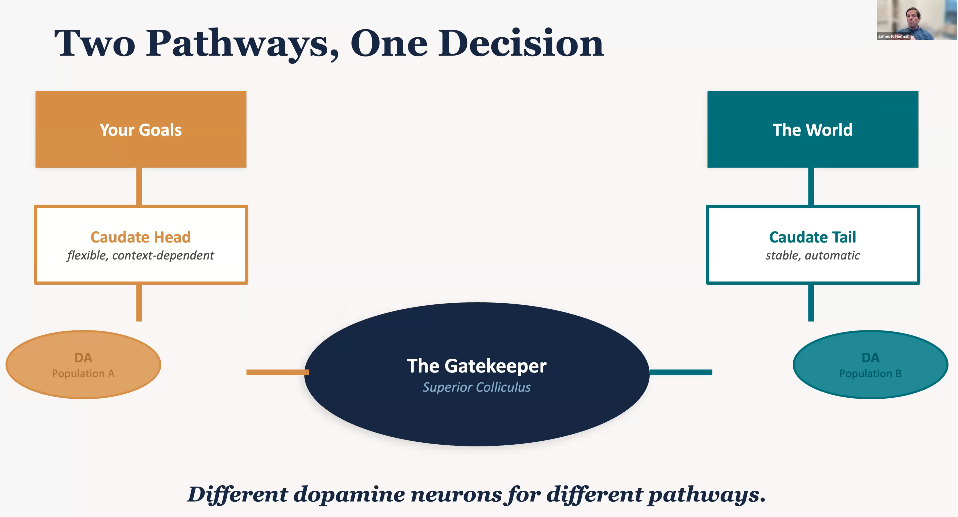 slide of Two Pathways, One Decision