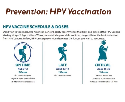 HPV vaccination timing chart