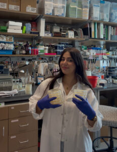 Marwa in the lab