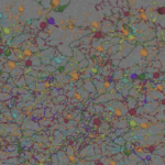 screenshot of webinar slide - connectomics